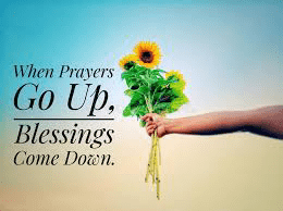 6b827a21b1af67983985d877fe663fe1